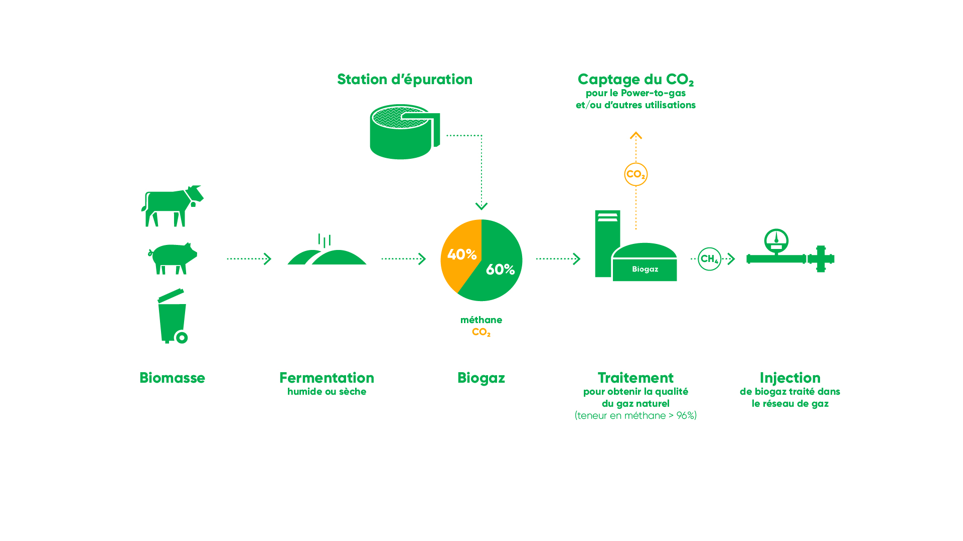 schéma présentant les étapes de la production de biogaz