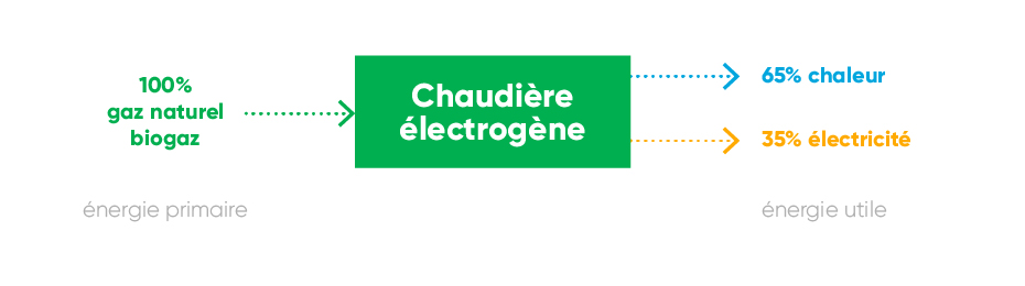 chauffage éléctrogène au gaz naturel et biogaz