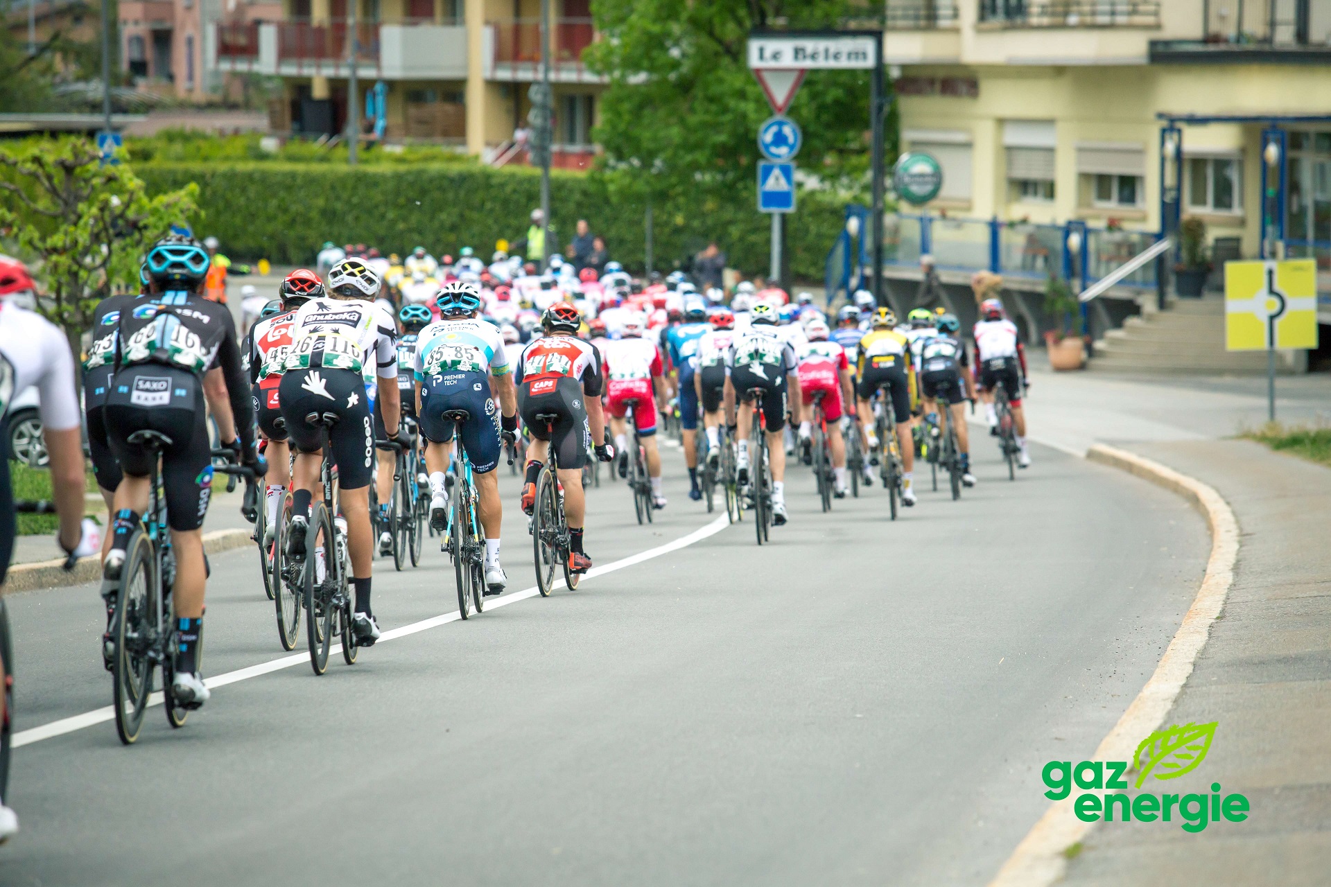 Peloton du Tour de Romandie Gazenergie